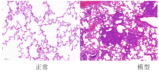 1675912311504329.png 1675912311504329.png