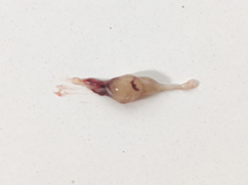 1675912330930757.png 1675912330930757.png