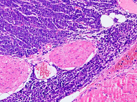 1675912335154948.png 1675912335154948.png