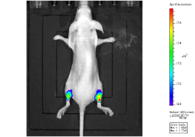 1675912342761944.png 1675912342761944.png