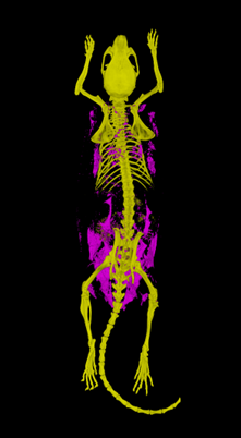 1675924865388312.png 1675924865388312.png