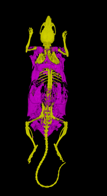 1675924871422439.png 1675924871422439.png