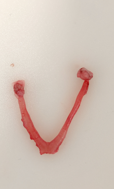 1675924955153920.png 1675924955153920.png