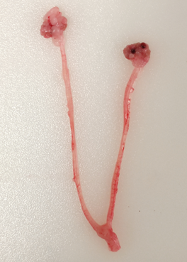 1675924965470006.png 1675924965470006.png