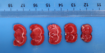 1675925136154395.png 1675925136154395.png