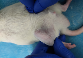 1675925518370907.png 1675925518370907.png