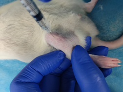 1675925529398308.png 1675925529398308.png