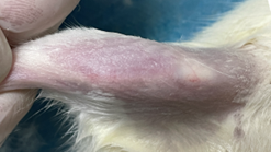 1675925542743415.png 1675925542743415.png