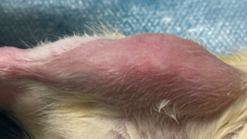 1675925548444666.png 1675925548444666.png