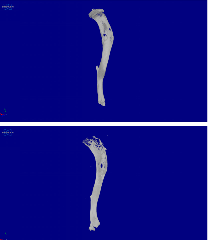 13.png