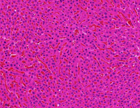 1676424773529140.png