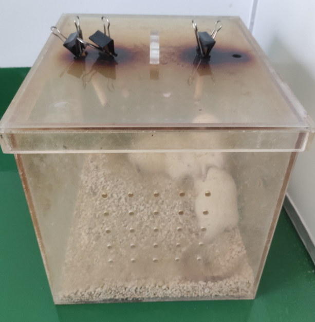 1676446252386552.png 图片.png