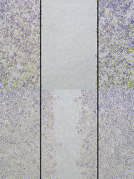 1676512040855586.png