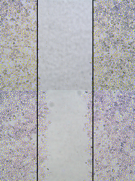 1676512041623908.png