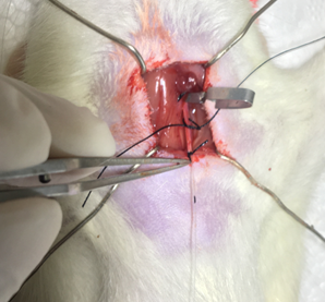 1676947516335438.png 图片.png