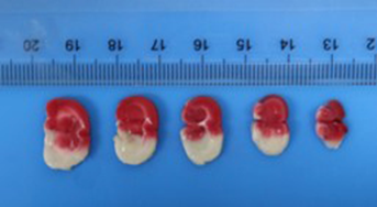 1676947536206218.png 1676947536206218.png