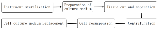 Primary Cell Extraction And Culture