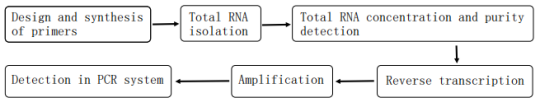 PCR