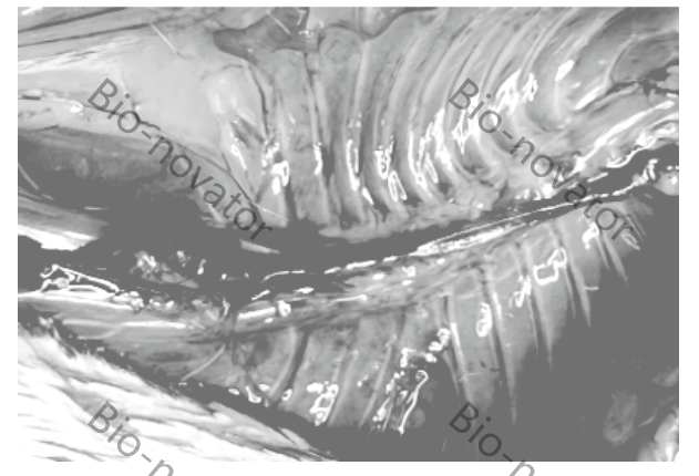 13930E91-B5EE-418f-8B6C-9F942B6CEA78.png