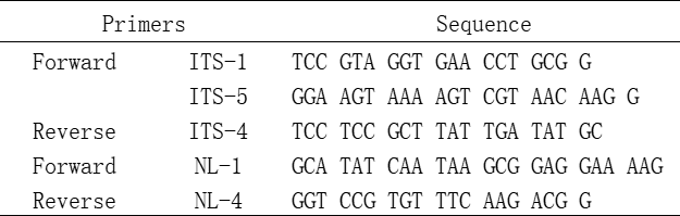 1754300956933651.png 图片4.png