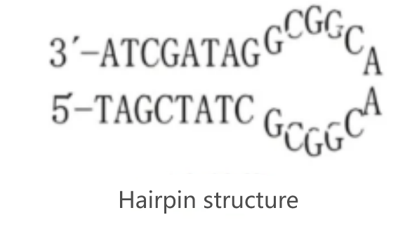 1754301008561883.png 图片5.png