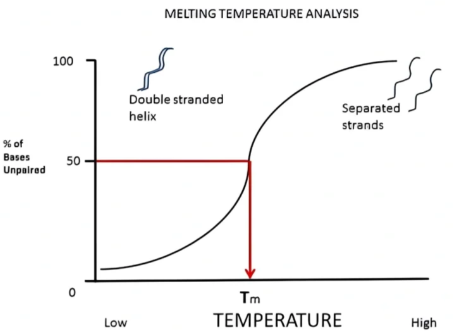 1754301019118949.png 图片6.png