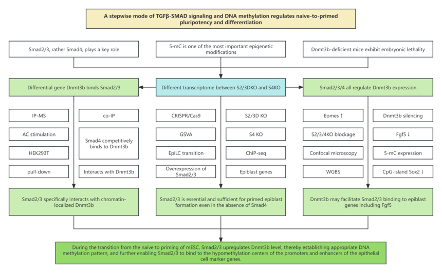 1757326021430200.png 图片15.png