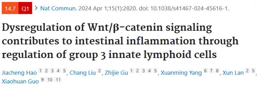 1758532922107856.png image.png