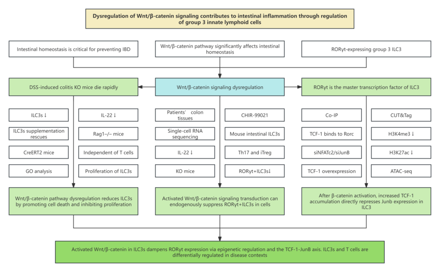 1758532970525992.png 0915技术路线.png