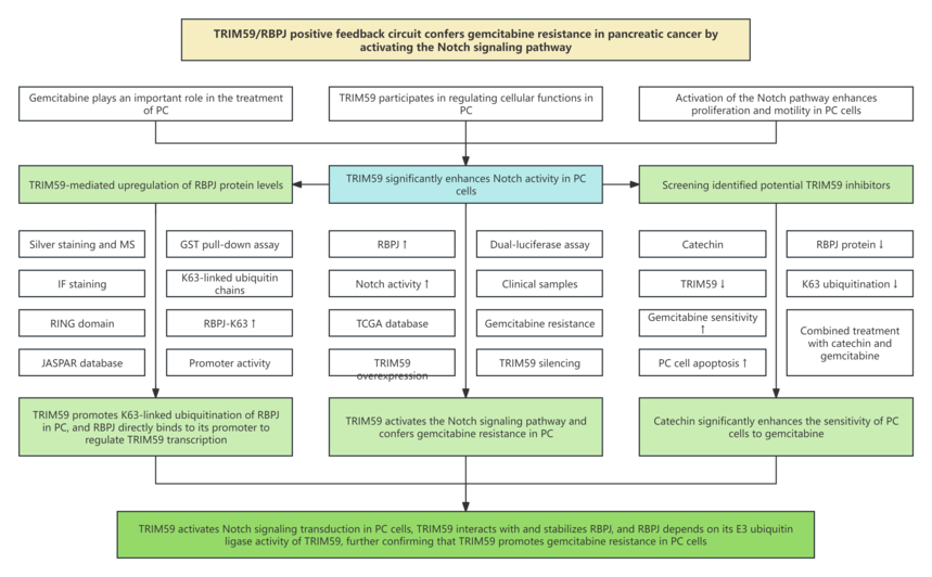 1760079239618259.png 0928技术路线.png