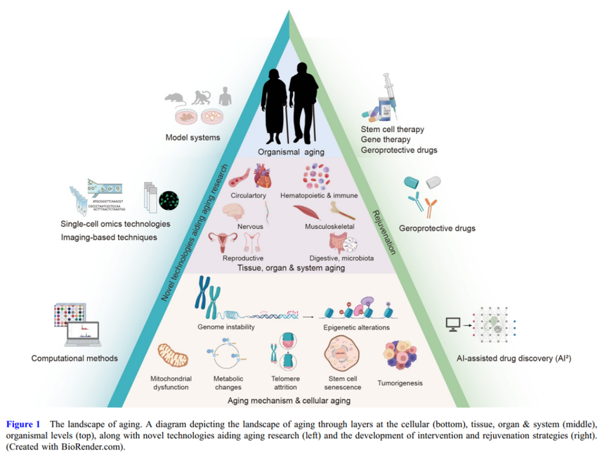 1764568122878744.png image.png