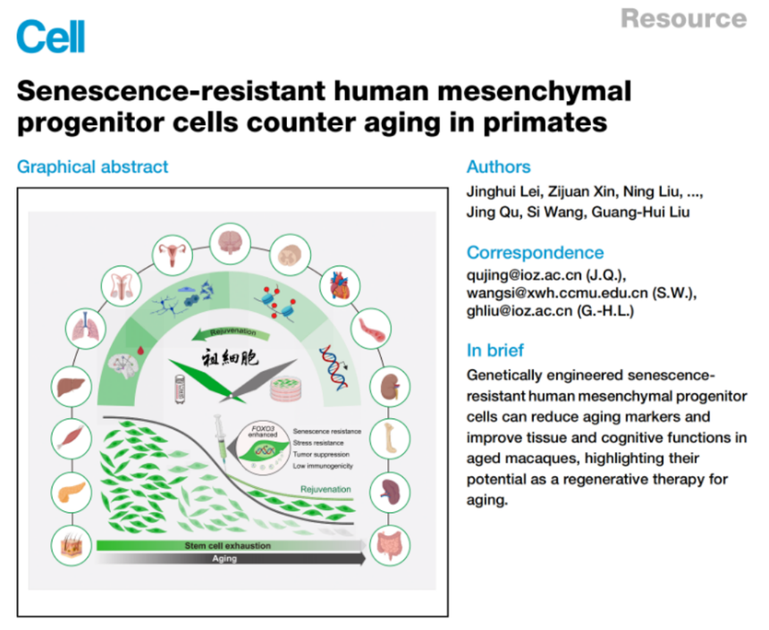 1764568202786787.png image.png