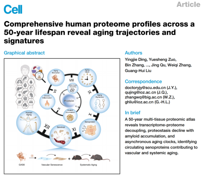 1764568267202696.png image.png