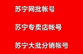 苏宁易购国美全品类采购批发供应链运营课程七节培训开通苏宁国美6个采购批发账号体验课