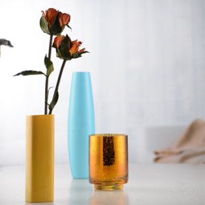 Glass Vase Collection