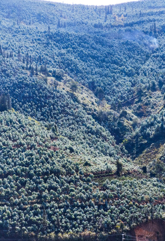 crop,w_330,h_480,g_center