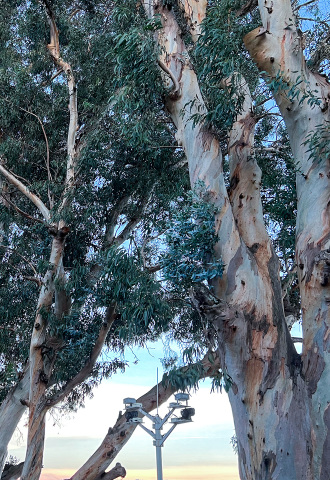 crop,w_330,h_480,g_center