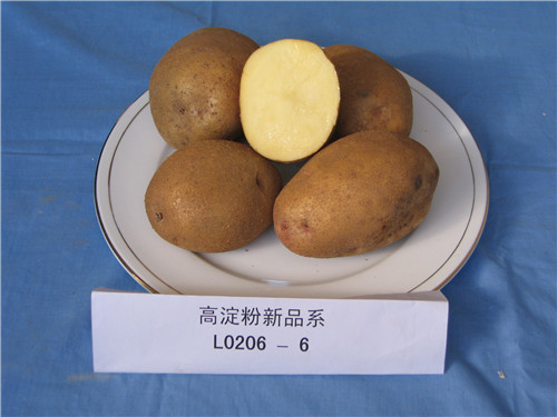B011FB08FB4720C32FAAA476213_420BB752_D66E.jpg