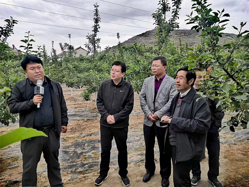1685343544598502.png 图片33562.png