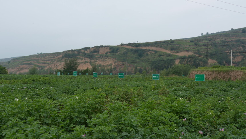 C4278T01.JPG