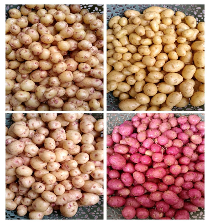 ׯ����ũ�����ġ�ׯ������������1.png