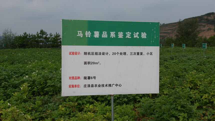 C4292T01.JPG