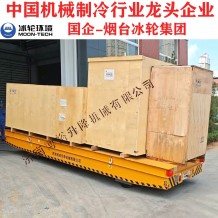 30T防爆電動(dòng)平車