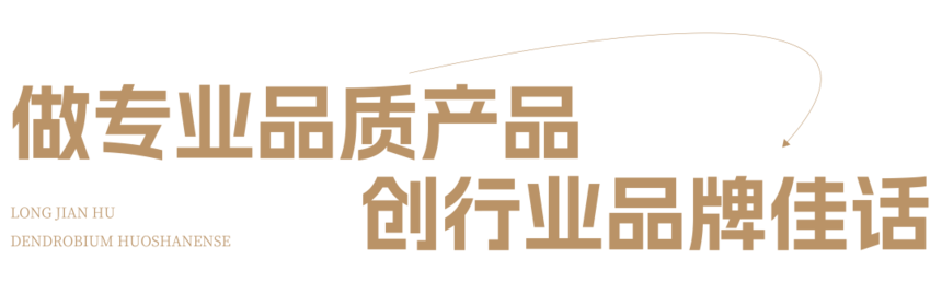 1.1.png