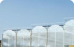 薄膜溫室