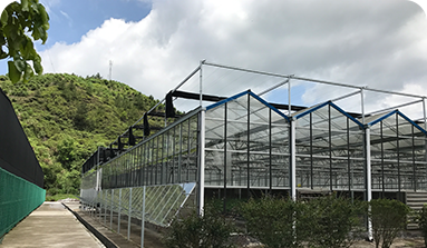 開(kāi)窗系統(tǒng)