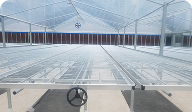 活動(dòng)(固定)植床工程