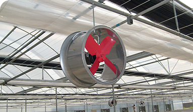 內(nèi)循環(huán)系統(tǒng)