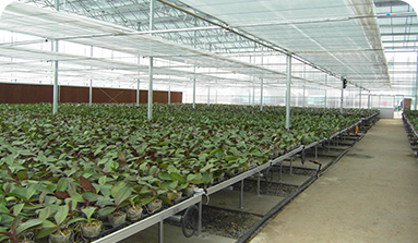 內(nèi)保溫系統(tǒng)