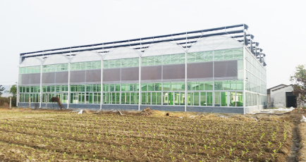 花卉大棚是否可以實(shí)現(xiàn)真的遠(yuǎn)程控制